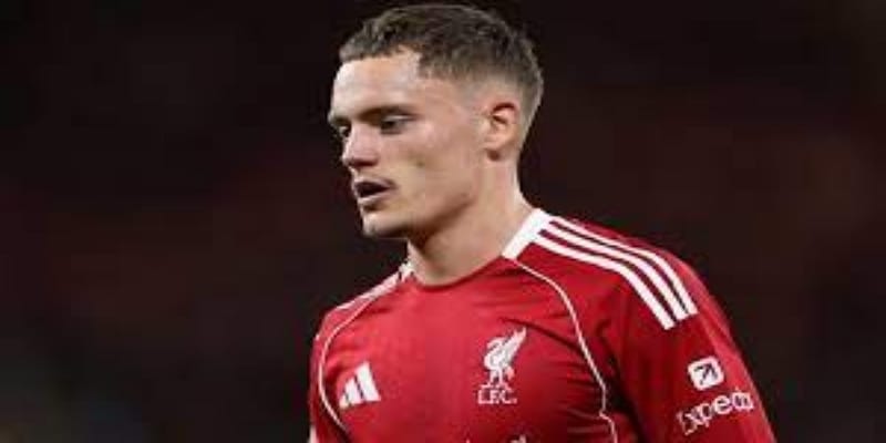 英超前景与潜力预判—FB体育联合FB体育专业分析-FB体育