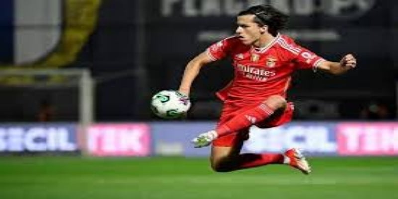 转会连锁反应与曼联未来布局-FB体育英超版预测  — FB体育