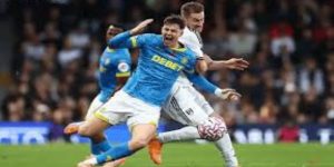 社区精神与现代管理的完美融合- FB体育